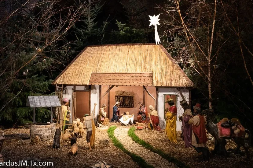 thumbnail stjankerststal2018 6684