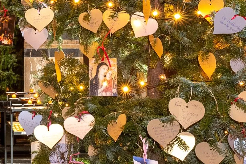 thumbnail stjanwensboom2021 2293 002