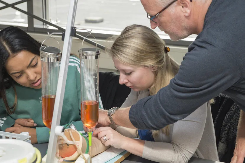 training verpleegkundigen