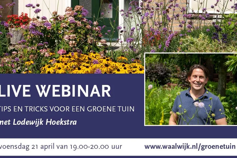 webinar groene tuin website 800x600px