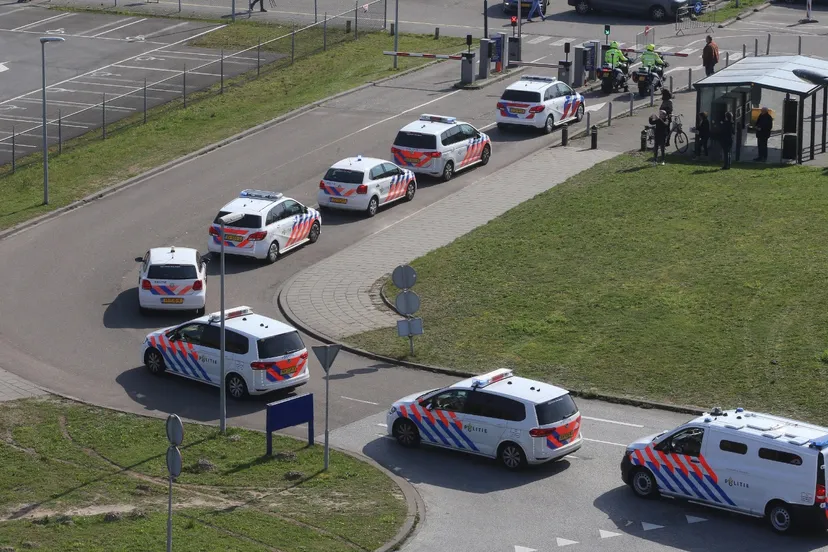 whatsapp image 2020 03 27 at 181533