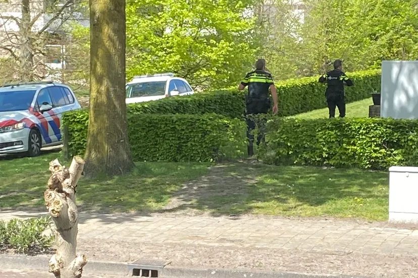 whatsapp image 2023 05 02 at 141655