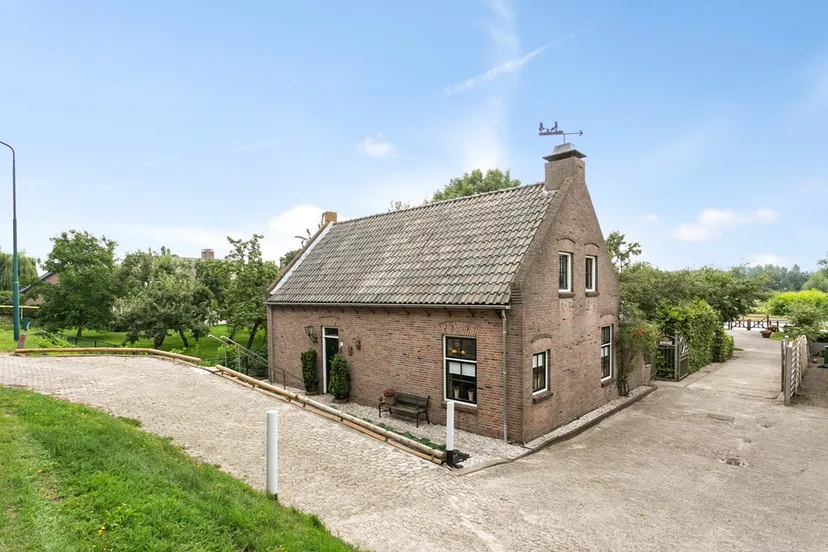 winterdijk31sprang 04