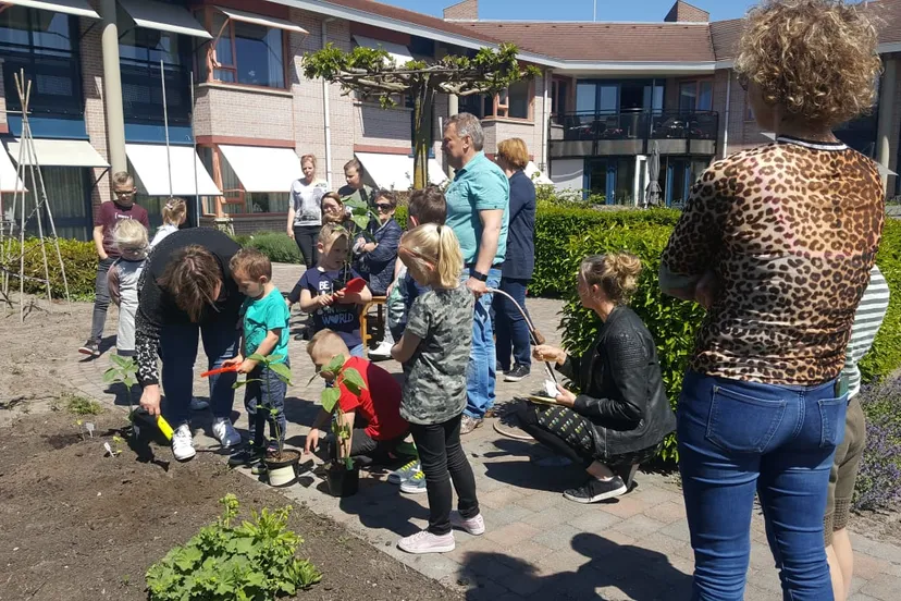zonnebloemenrace foto 1