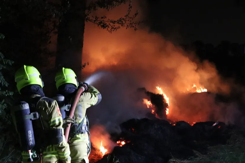 20240815002555 img 0396