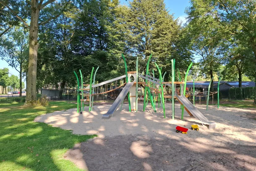 456201293 989214223005969 7341345627675606800 n