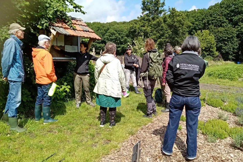 uitleg landmeerse loop juni 24