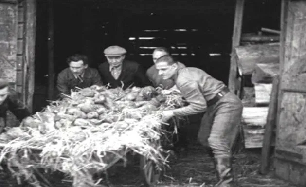 lezing over moedige mensen in oorlogstijd 768x384