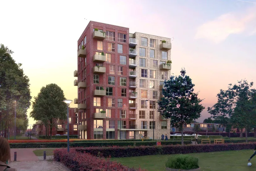 480801320 1153481346787049 1146719677054410337 n