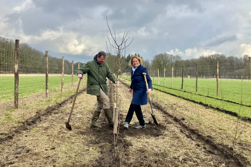 aanplant boom door hagar roijackers