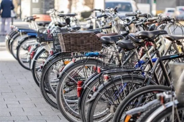 496805859 1115767807249159 1696798912947319180 n