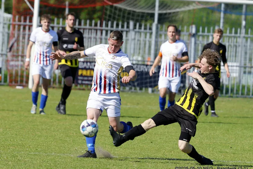 53 2025 05 10 neo baardwijk 2 053