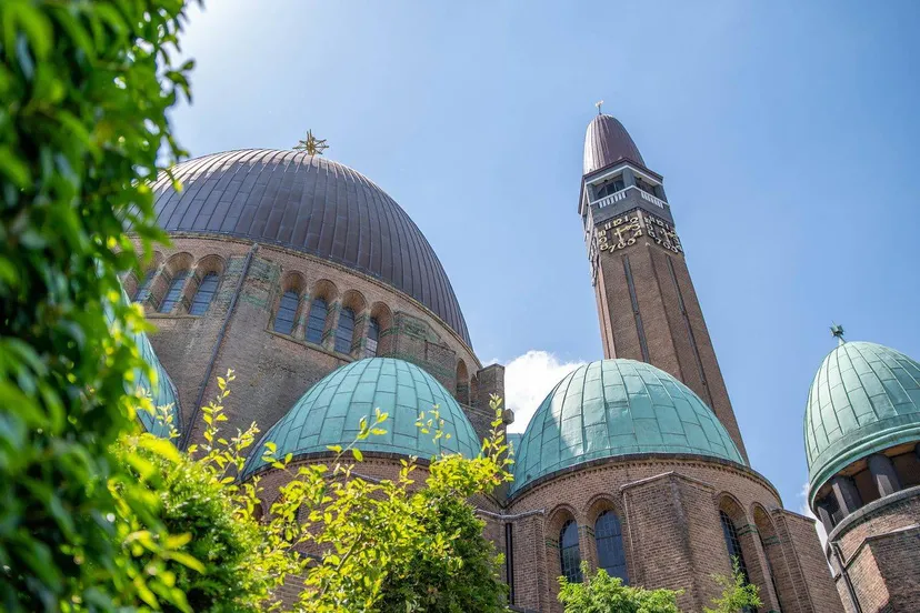 51263533028 81a1ae2622 h