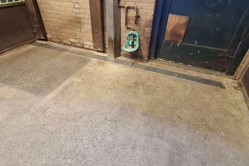 526296376_1245266644067391_5807116464103290522_n