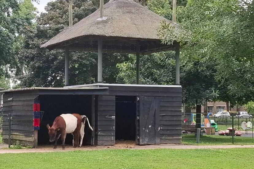 538635129_1269046521689403_6176557267573696861_n