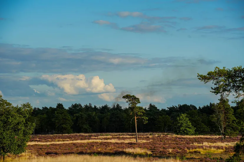 ERIK__HAVERHALS_SMALL_ERIK_HAVERHALS_3468CA0B-CA28-4F35-A38E-F1D40A10B1E2