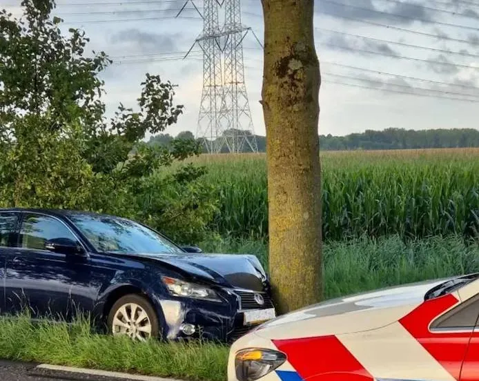 onder-invloed-van-alcohol-botste-de-bestuurder-met-de-auto-tegen-een-boom