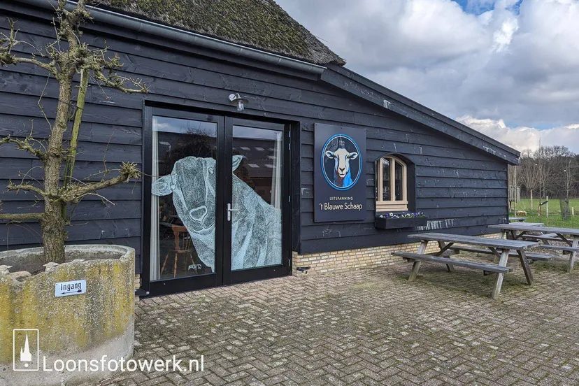 PXL_20240306_125205408