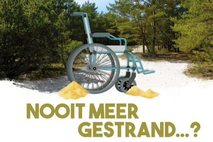 540610861_803199005879254_7853537757938652577_n