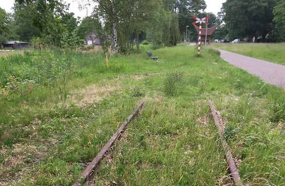 540957498_806317188578646_606331360391299654_n