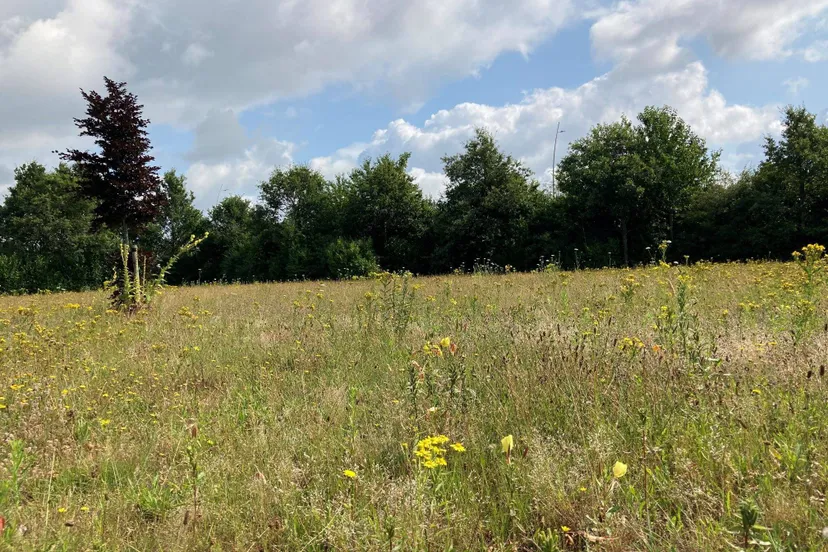 547320128_1218552420304030_5831254590852666852_n