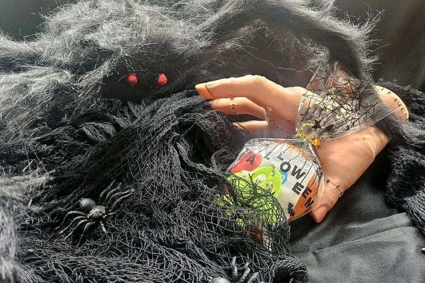 553116502_18076778897285035_5764504732603298505_n