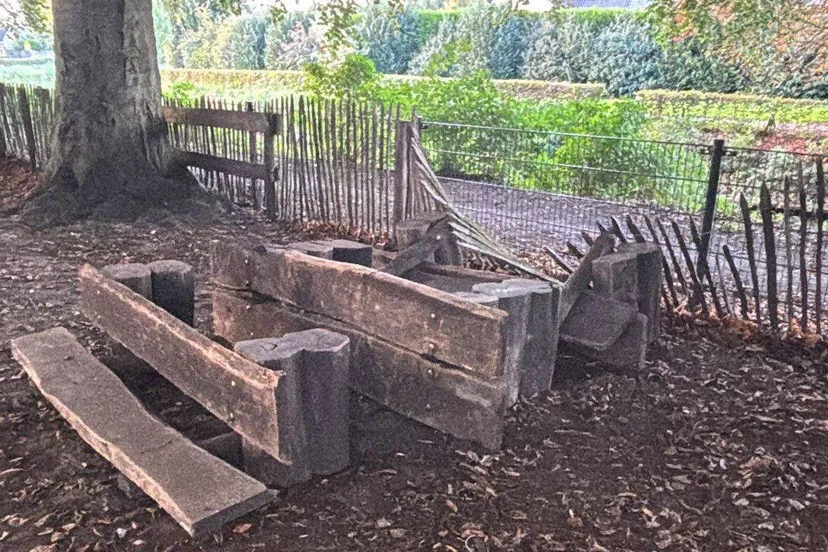 556119674_1248947090599841_5821912781250964227_n