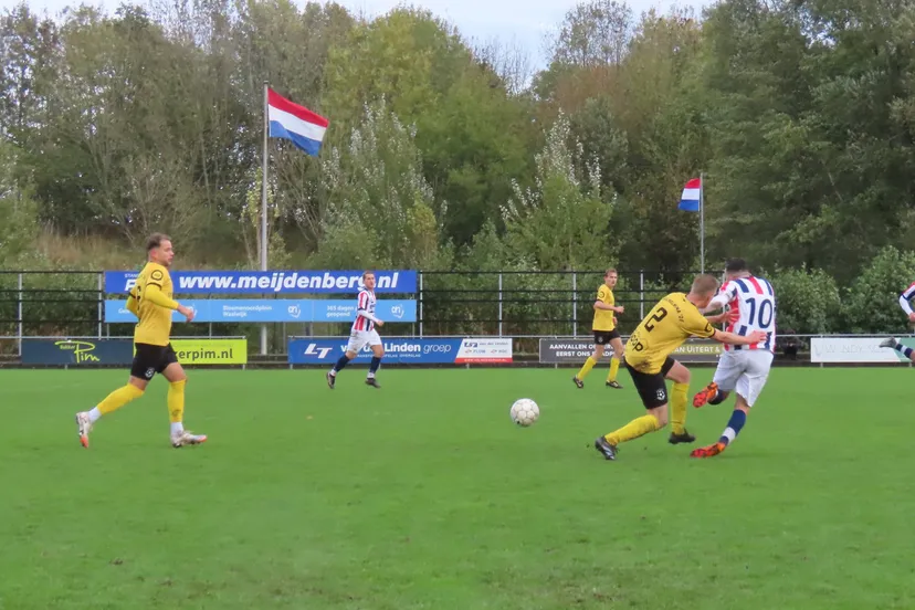 RWB 1 - Wilhelmina'26 1