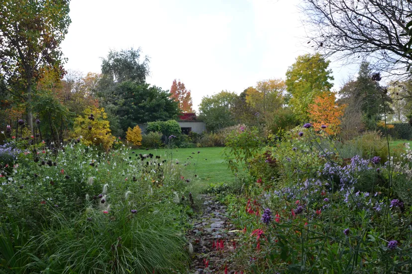 Anita Nijssen 2DSC_6490