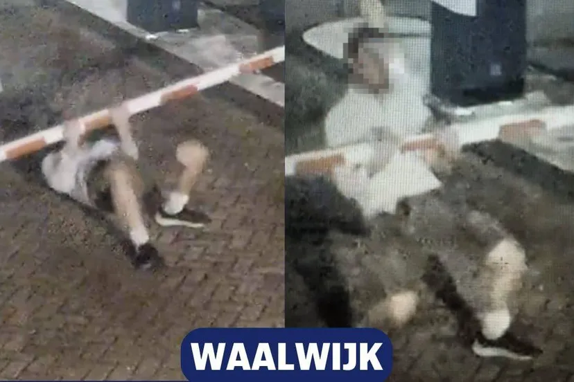 589559073_1301407218687161_5724114996679831167_n