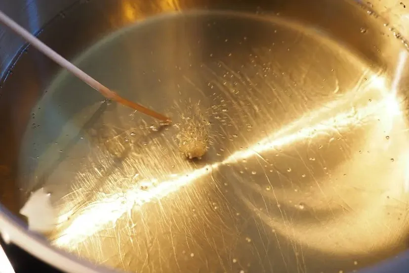 frituurvet-hans-pixabay