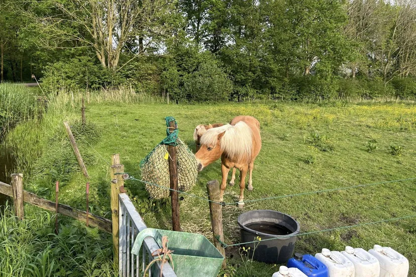 616795411_3792775464192400_7201049631095990801_n