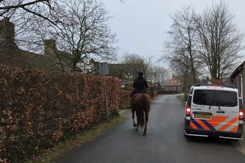 622045265_1347073750787174_8024675656946675692_n