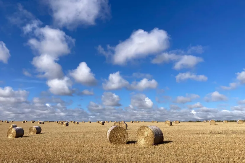 Jac Vermeer KUS 2024