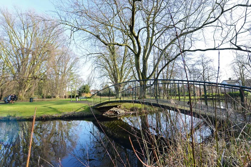 DSC_0450 ps kopie kl