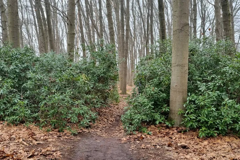 w.s. 2023-2024 foto reghte hei 2