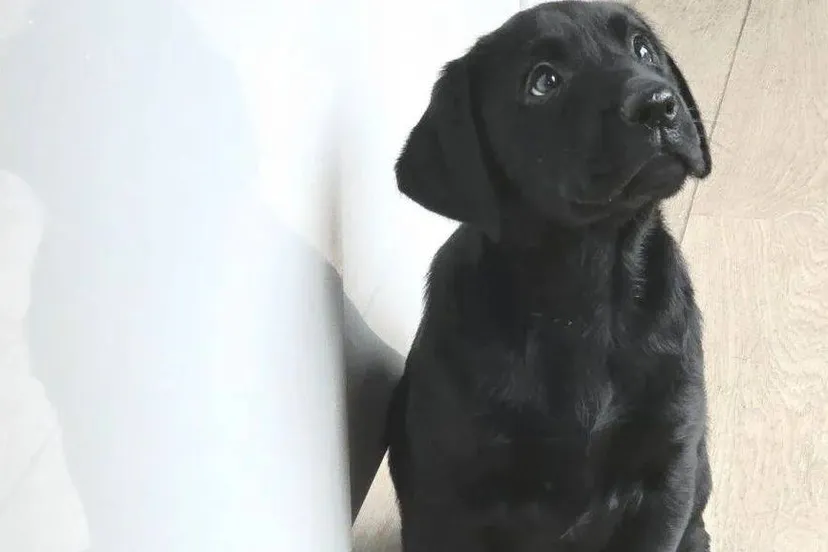 20251124_153418-891x1024