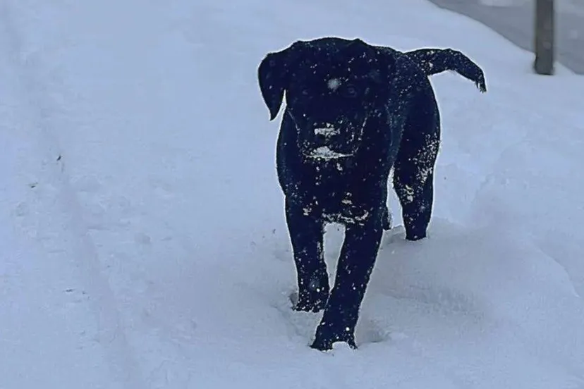 WhatsApp-Image-2026-02-03-at-17.22.32-945x1024