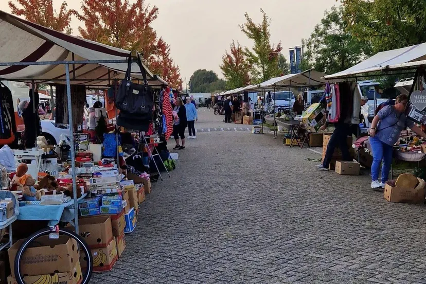 669052252_1380658410771310_1775730104421500974_n