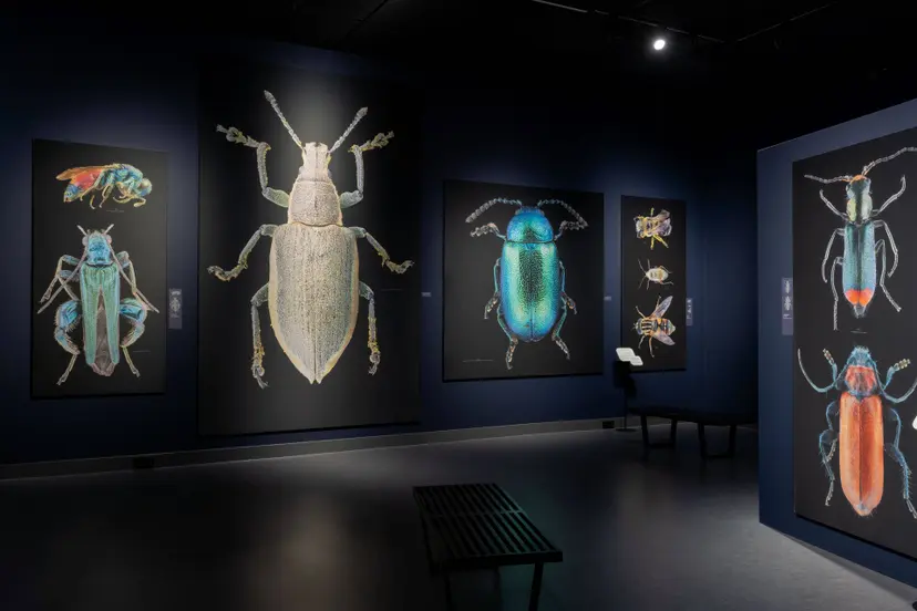 2026_NatuurmuseumBrabant_Tentoonstelling GIGA