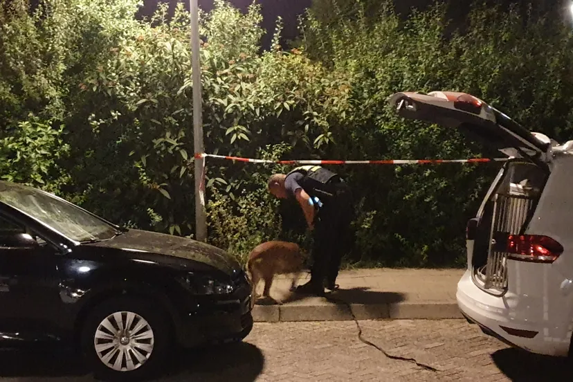 20190725 overval dame