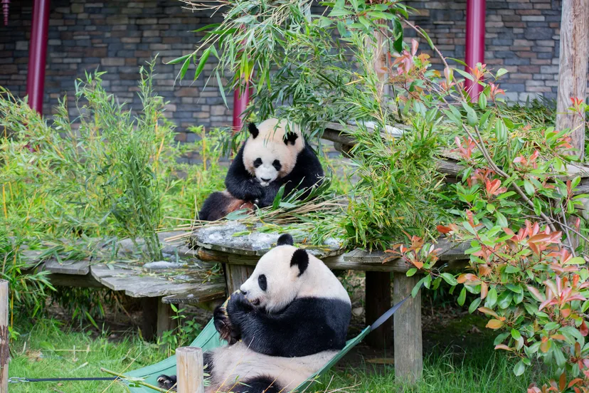 2023 07 fx en ww ijsjes buiten mm 10