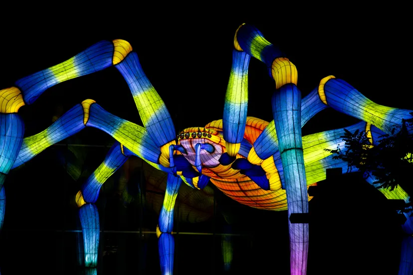 2023 10 ln tot objecten km 05