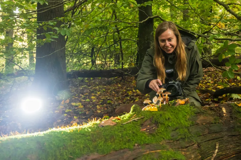 2023 jvdwielen mooiste natuurfoto