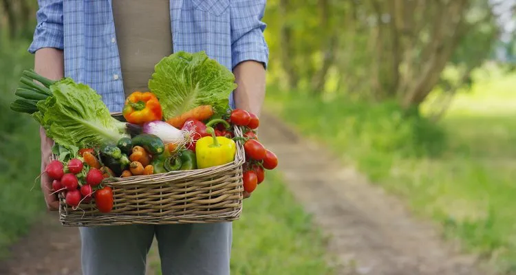 31f51f1a 99c6 4afa be00 0ee3adb76e4f shutterstock 633563900 62a78f89 750x400 453x294