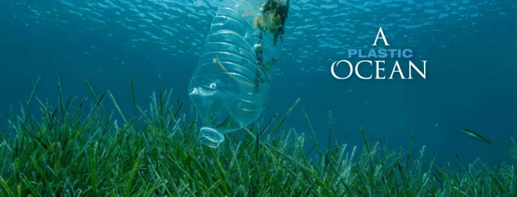 a plastic ocean
