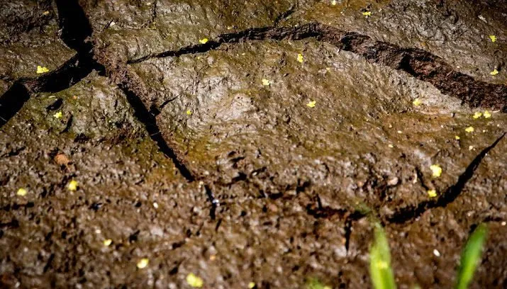 aanhoudend droog en warm weer 715x408