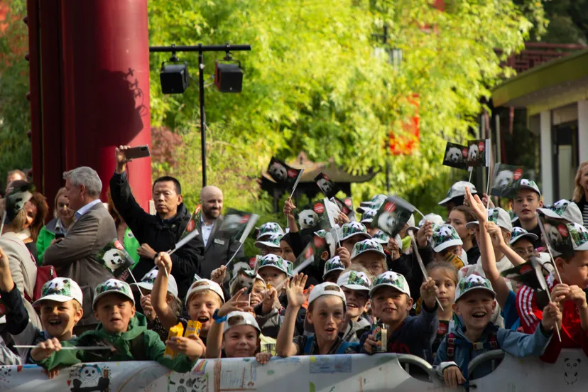 afscheid fan xing 31