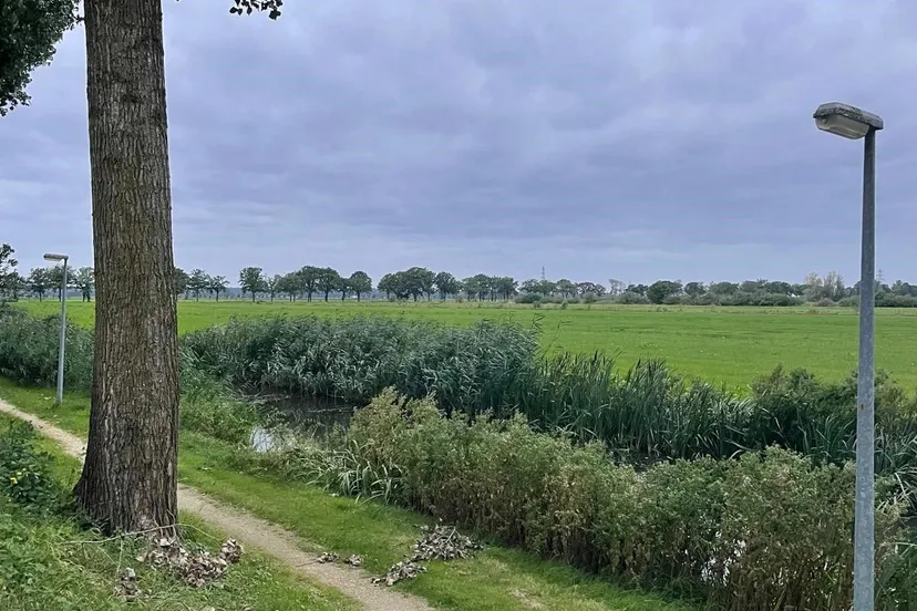 binnenveld