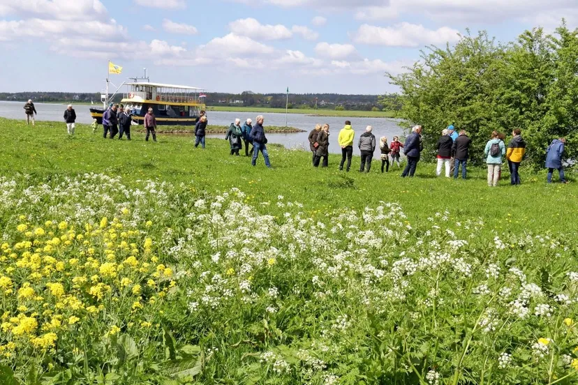 blauwe bever ingensche waardenklein